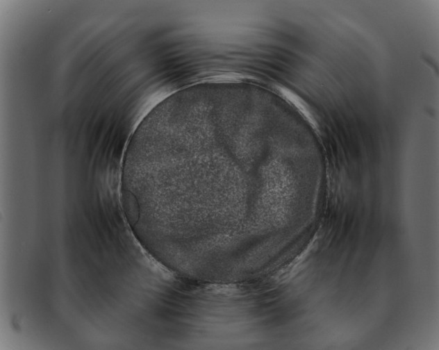 X0000092231194200710121211