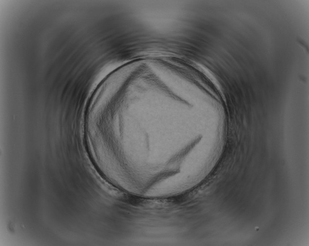 X0000092231195200710121211