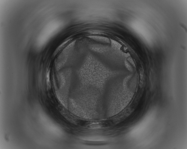 X0000092231198200710121211