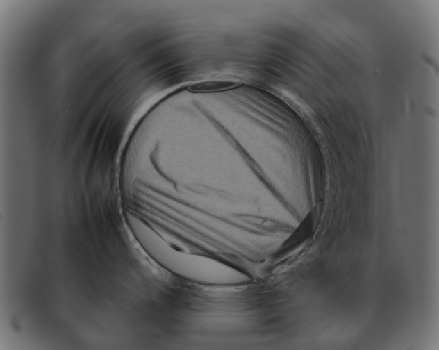 X0000092231200200710121211