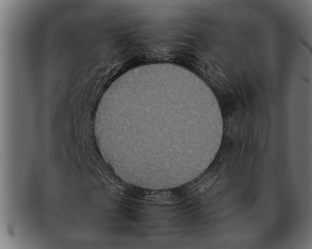 X0000092231201200710121210