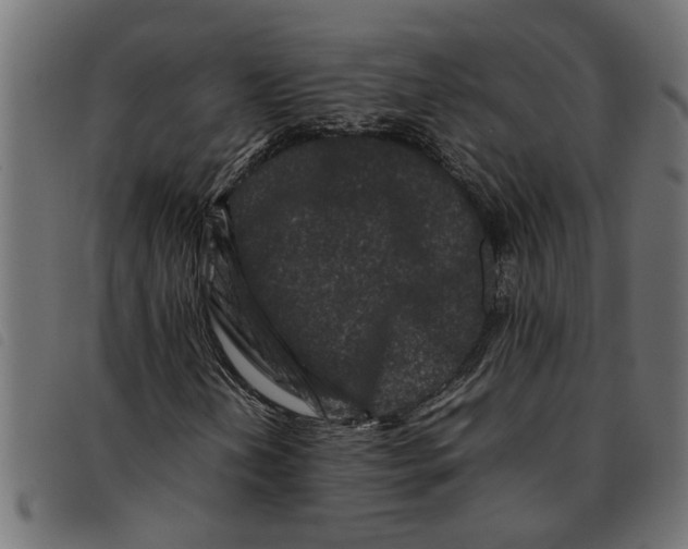 X0000092231202200710121210