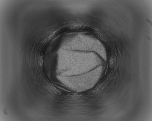 X0000092231204200710121210