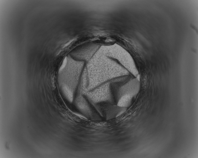 X0000092231205200710121210