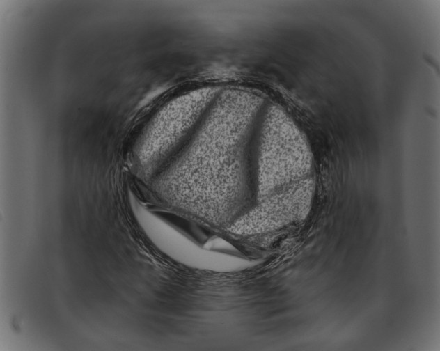 X0000092231206200710121210