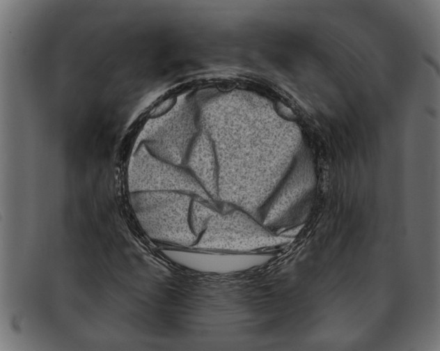 X0000092231208200710121211