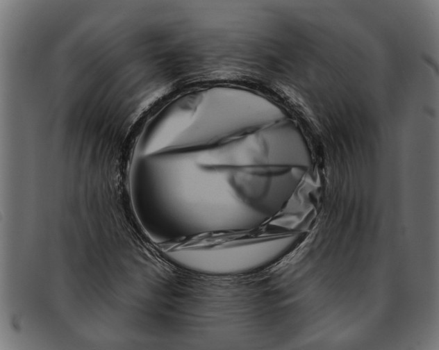 X0000092231210200710121211