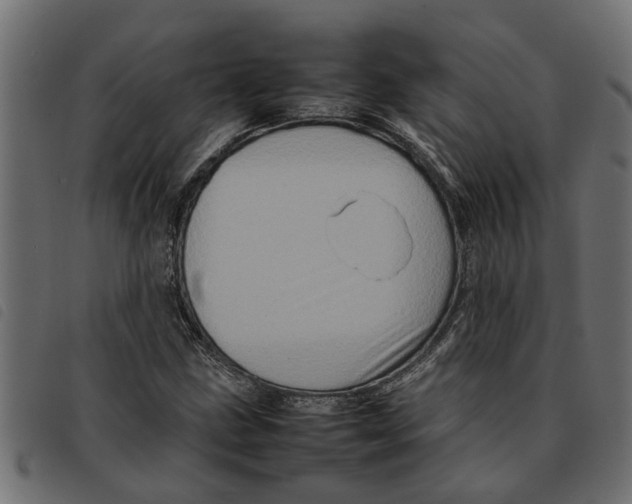 X0000092231211200710121211