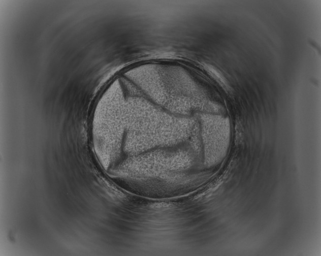 X0000092231212200710121211