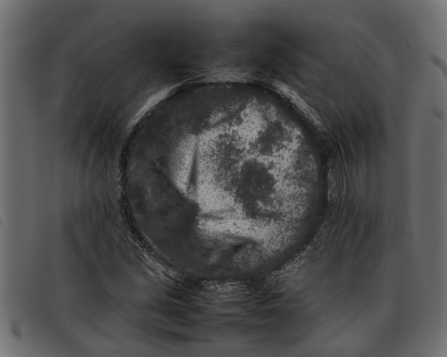 X0000092231213200710121211