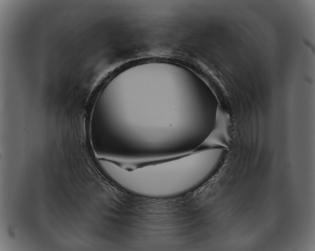 X0000092231214200710121211