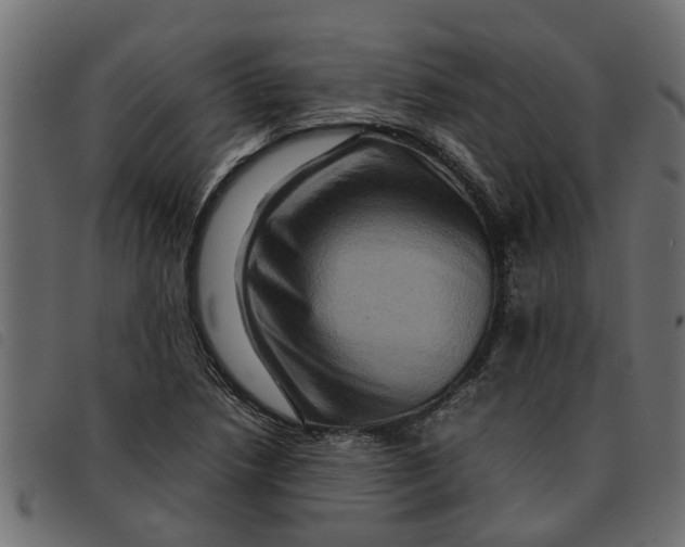 X0000092231218200710121211