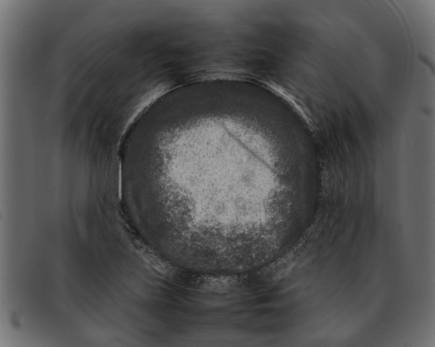 X0000092231219200710121211