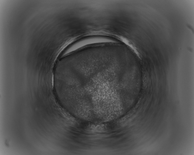 X0000092231221200710121211