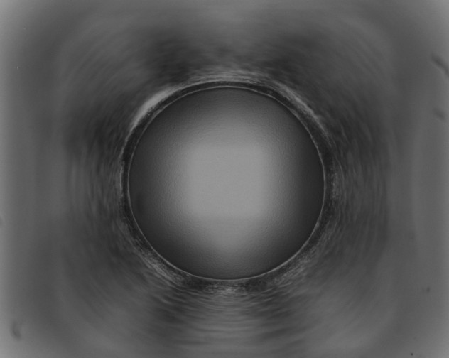 X0000092231222200710121211