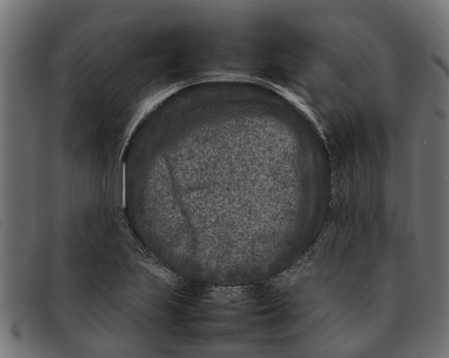 X0000092231223200710121211