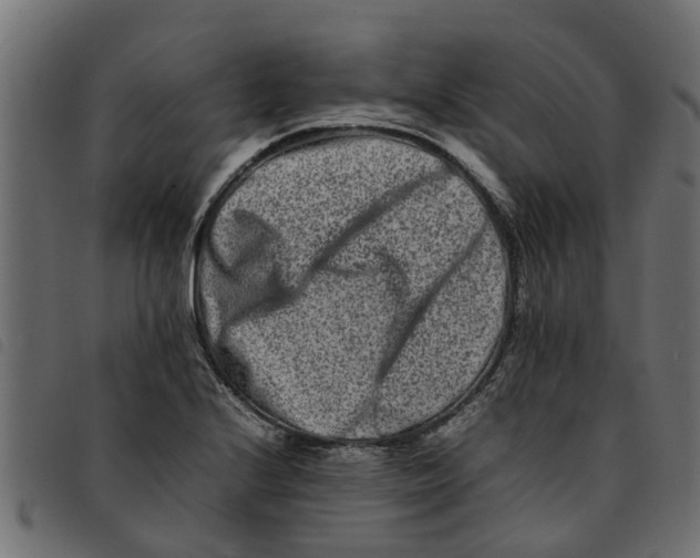 X0000092231224200710121211