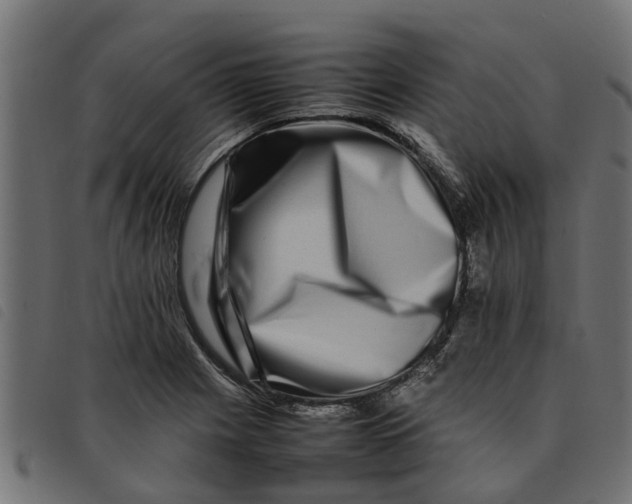 X0000092231225200710121211