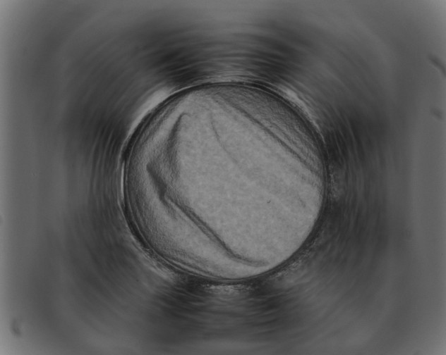 X0000092231227200710121211