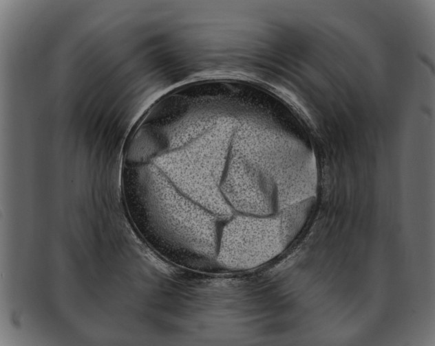 X0000092231228200710121211