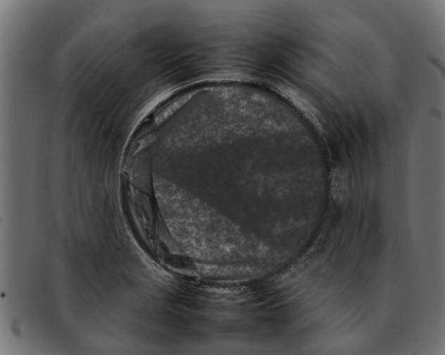 X0000092231229200710121211