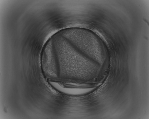 X0000092231230200710121211