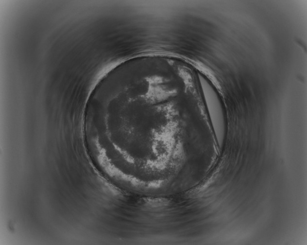 X0000092231231200710121211