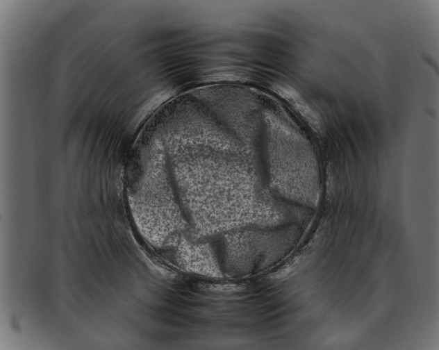 X0000092231233200710121211