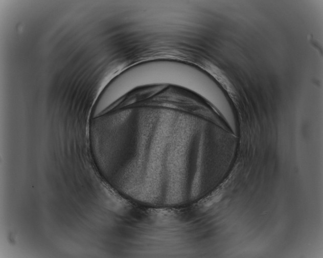 X0000092231234200710121211