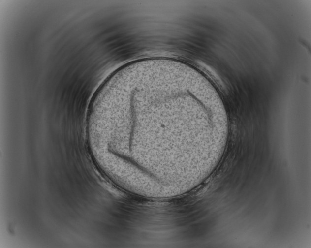 X0000092231236200710121211