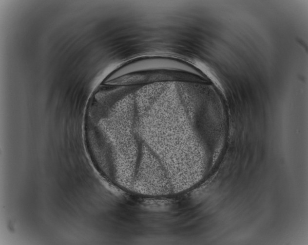 X0000092231237200710121211