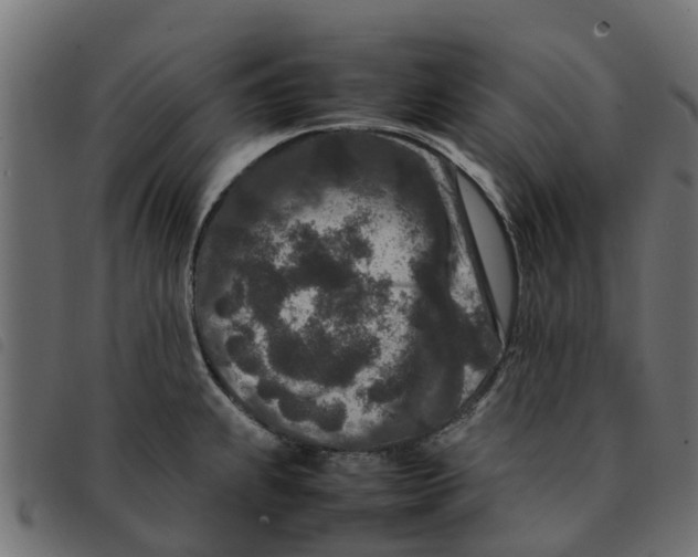 X0000092231239200710121211