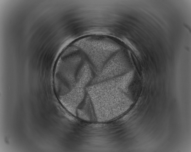 X0000092231240200710121211