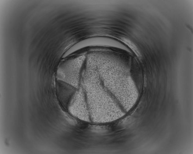 X0000092231241200710121211