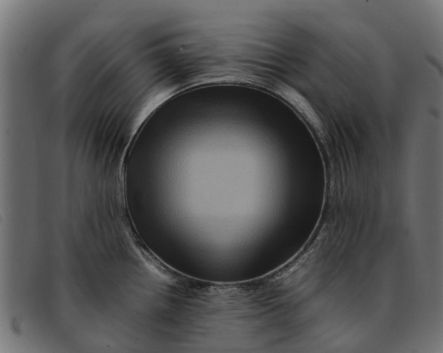 X0000092231242200710121211