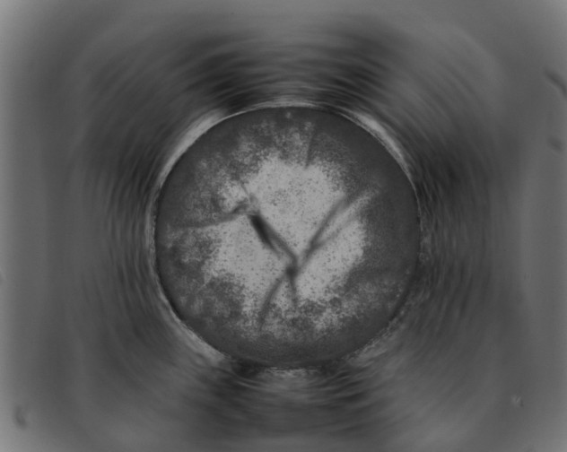 X0000092231243200710121211