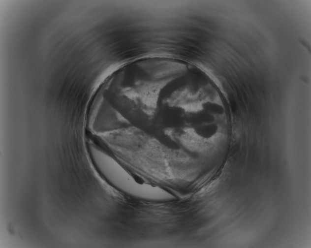 X0000092231245200710121211