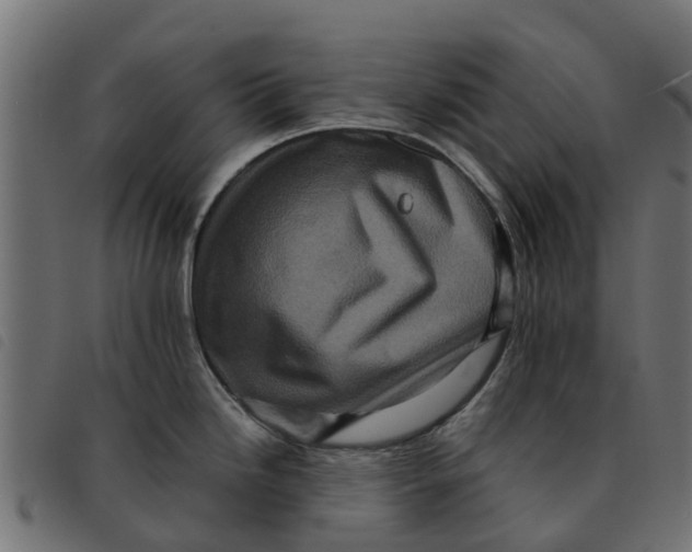 X0000092231246200710121211