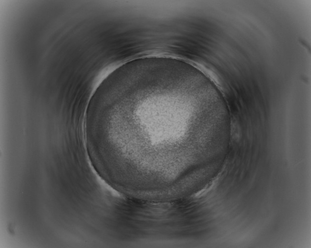 X0000092231247200710121211