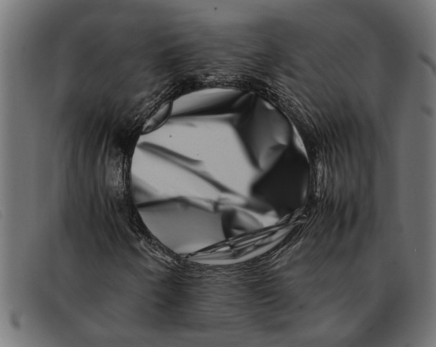 X0000092231250200710121210