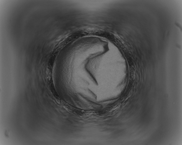 X0000092231253200710121210