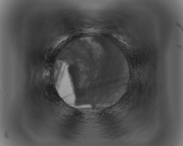 X0000092231254200710121210