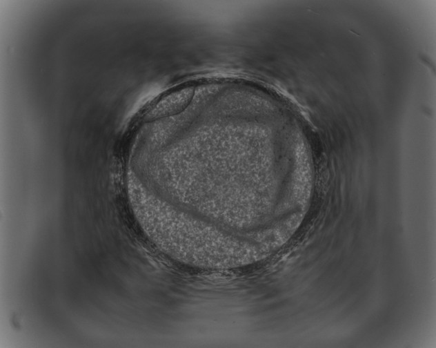 X0000092231255200710121210