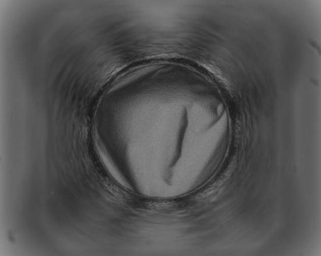 X0000092231257200710121210