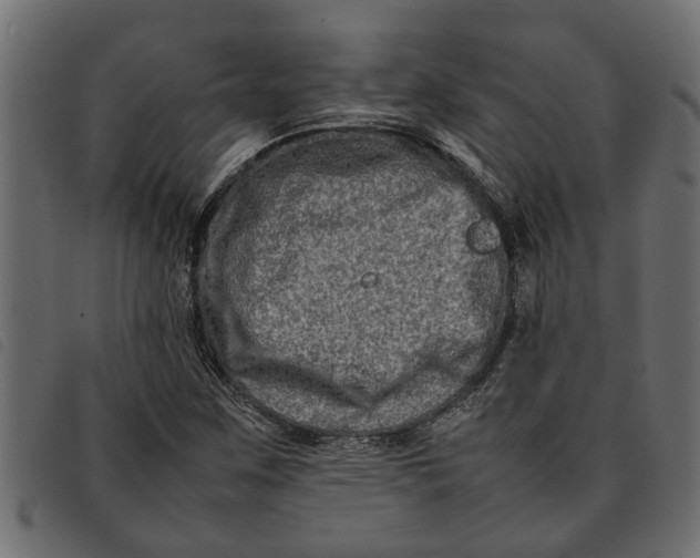 X0000092231259200710121210