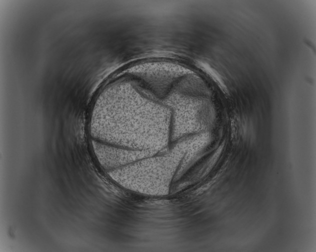 X0000092231260200710121210