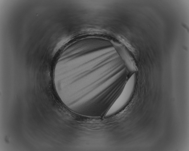 X0000092231261200710121210