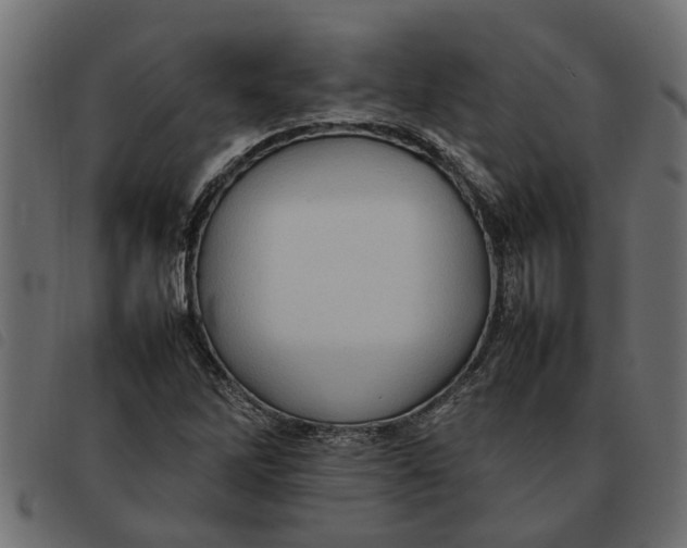 X0000092231262200710121210