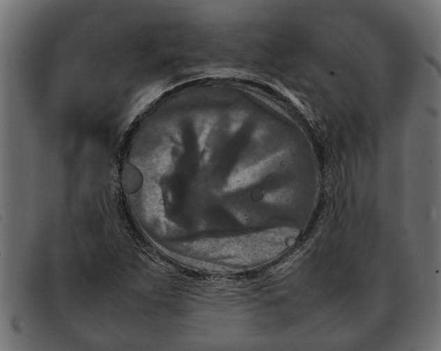 X0000092231263200710121210