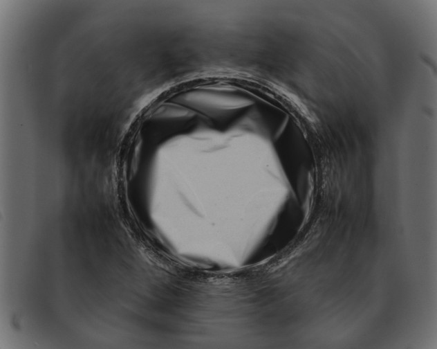 X0000092231264200710121210